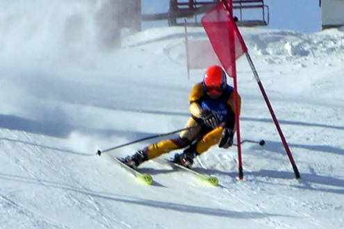 Cours de ski alpin dans les Vosges